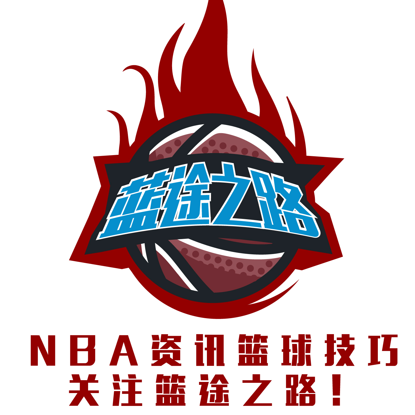 入网证明